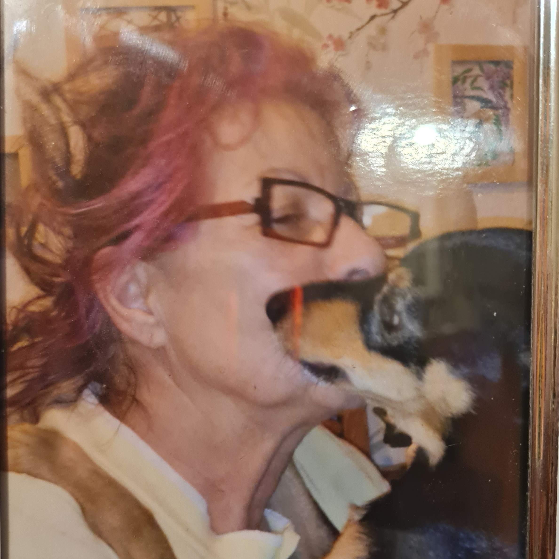 Photo de Nicole BELLEVILLE